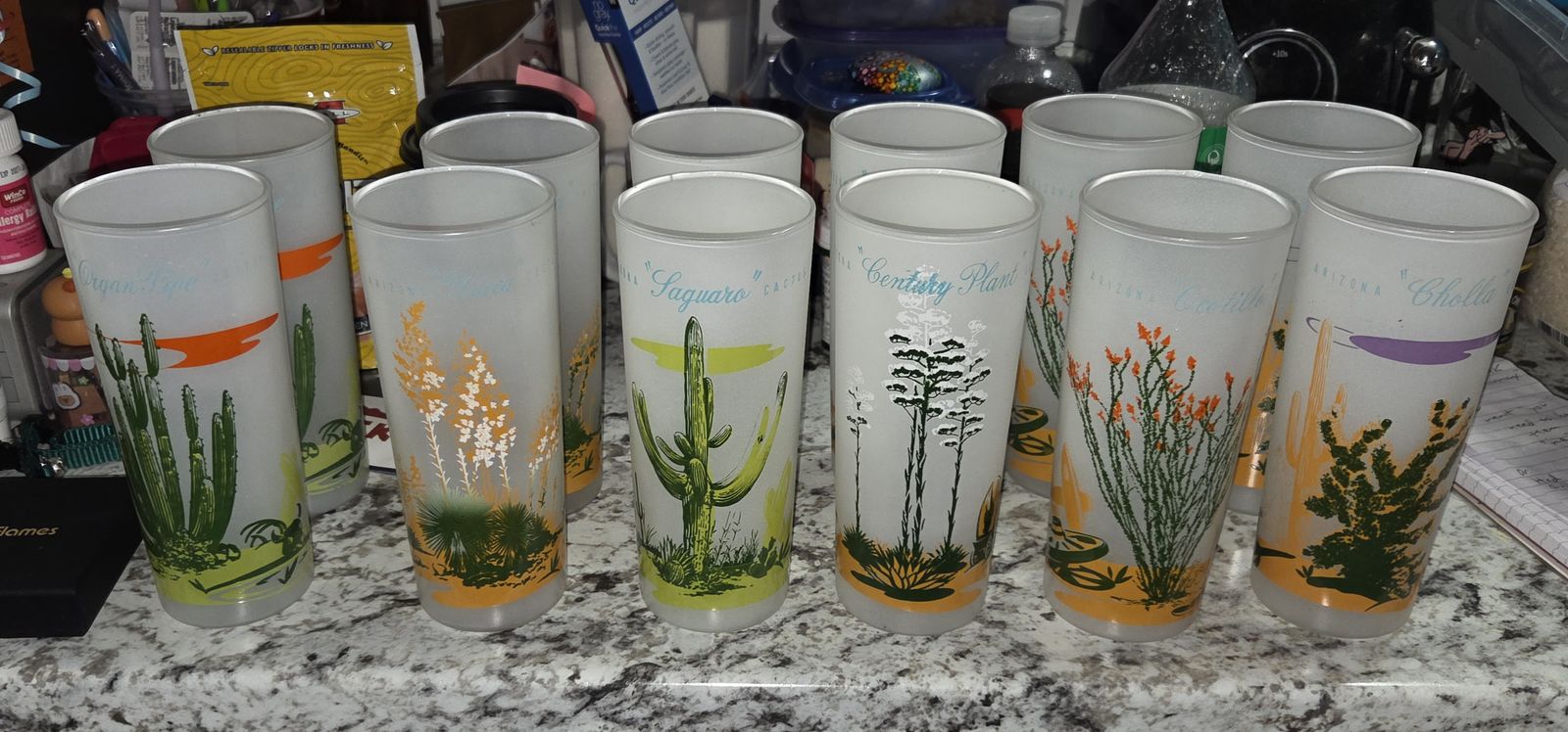Vintage 1950s Blakely Cactus Glasses - Set of 12 (6 Matching Pairs!)