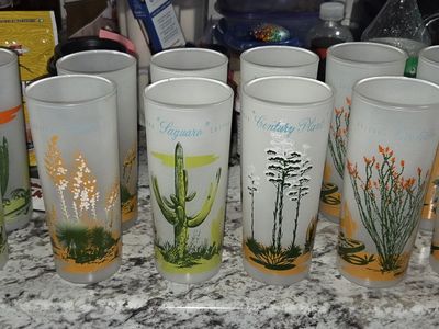 Vintage 1950s Blakely Cactus Glasses - Set of 12 (6 Matching Pairs!)