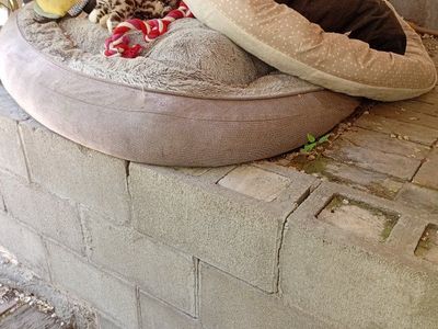 Dog Beds and Toys