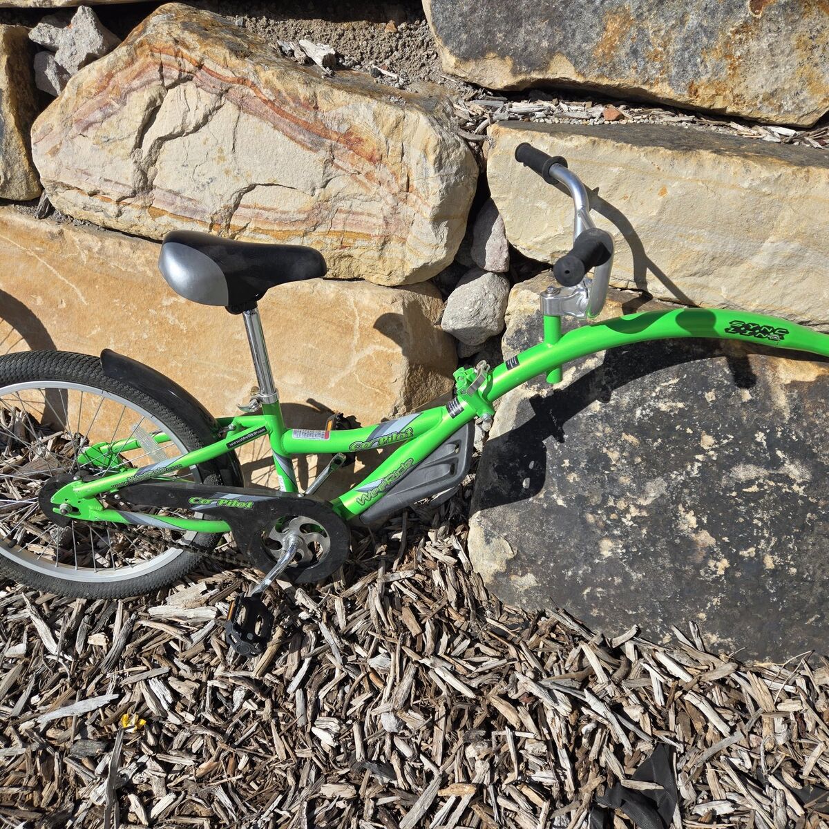 WeeRider Copilot bike trailer