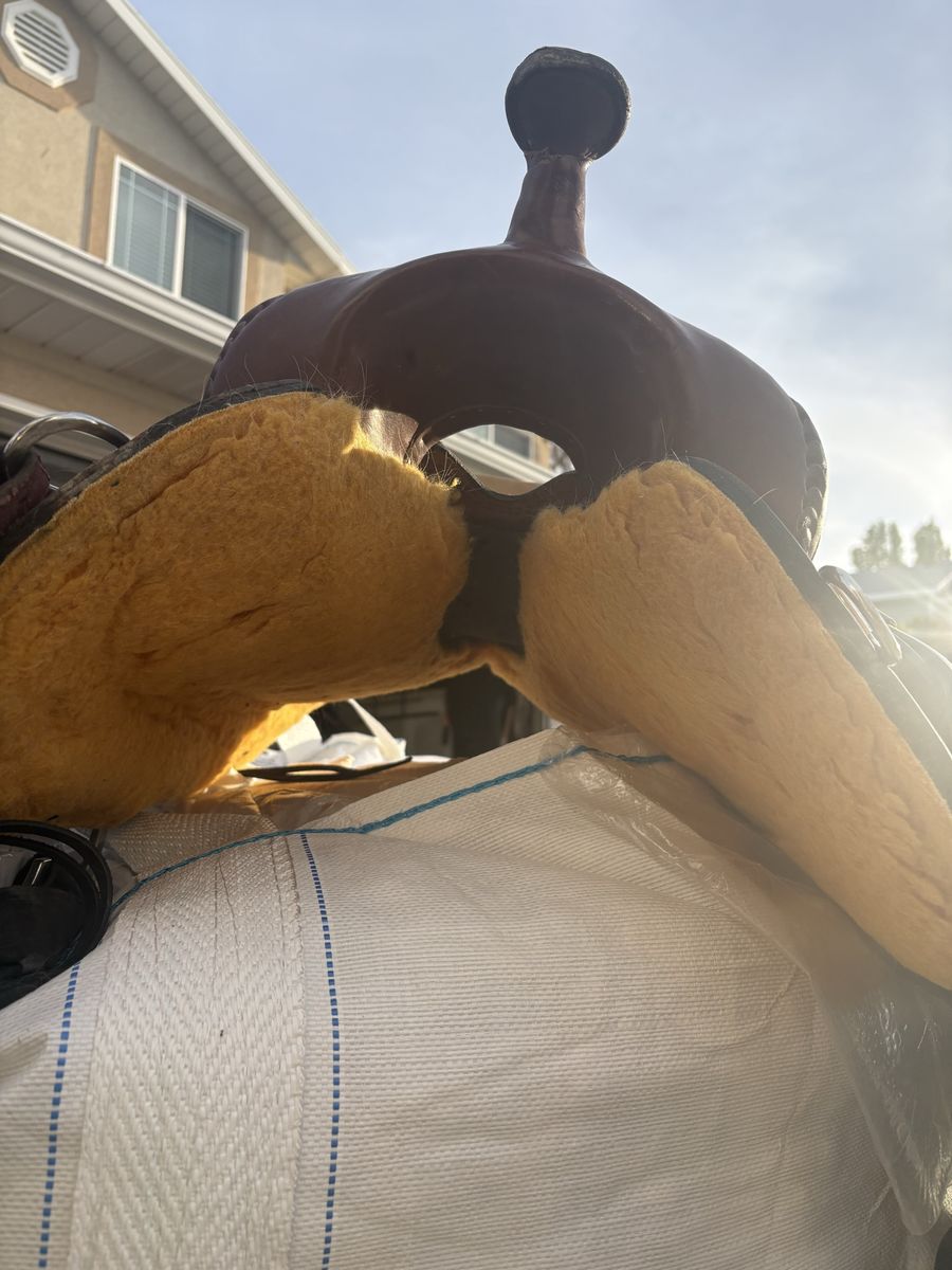 Main image 4