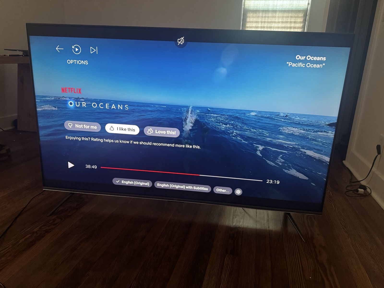 65" fire Tv Omni Series