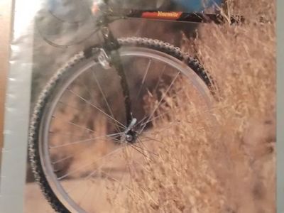 Yokota Terminator Mountain Bike