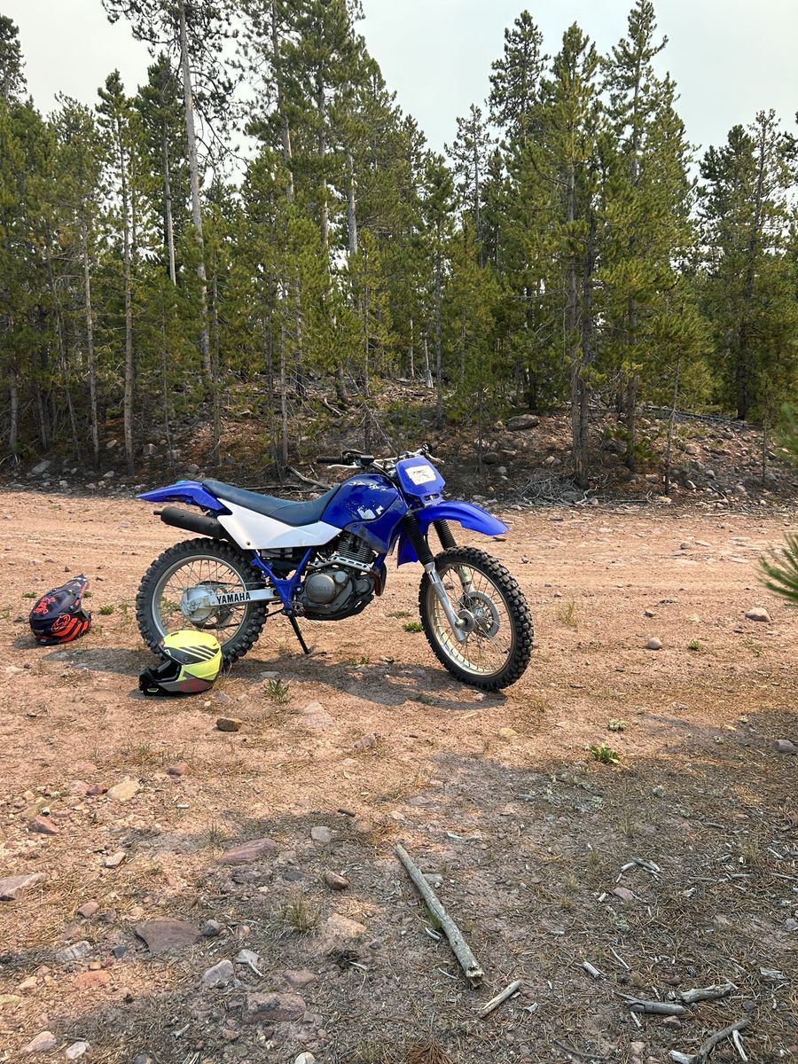 2003 Yamaha ttr 225
