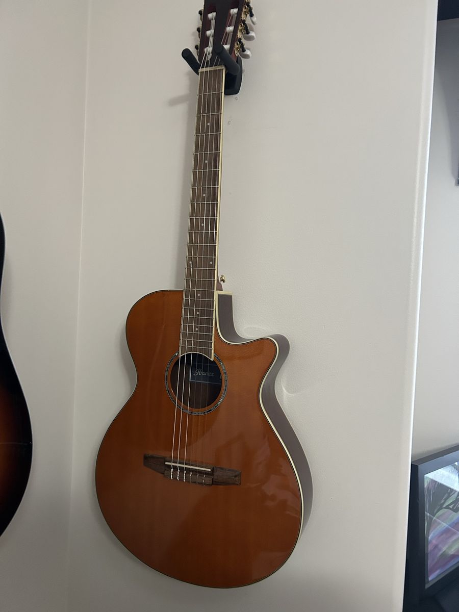Ibanez Acoustic-Electric Classical Guitar with Cutaway