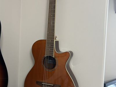 Ibanez Acoustic-Electric Classical Guitar with Cutaway