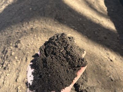 Black Gold 2 Cubit Yards Compost Delivered!