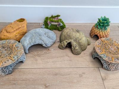 reptile hides and decor (S/XS) all must go