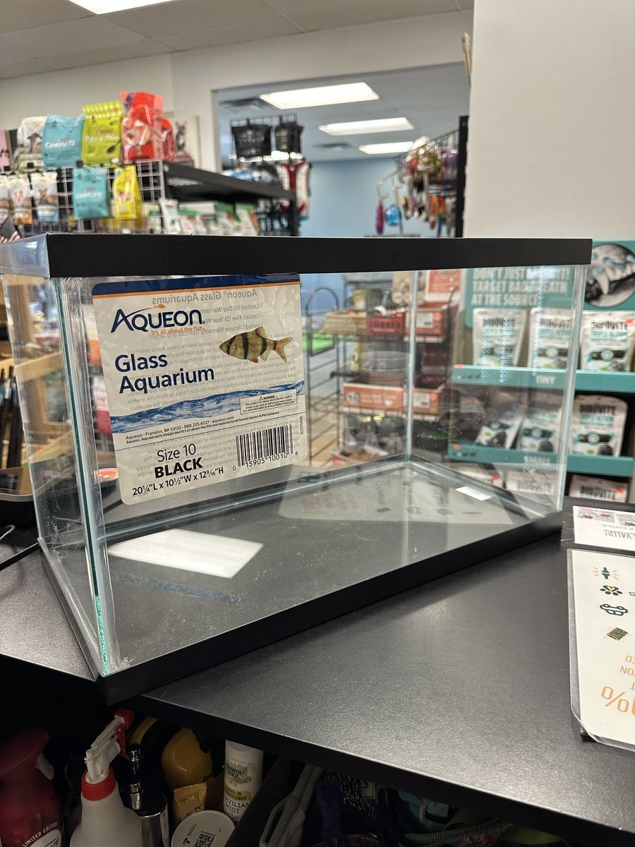10 gallon aquariums