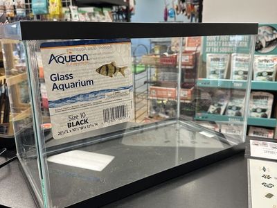 10 gallon aquariums