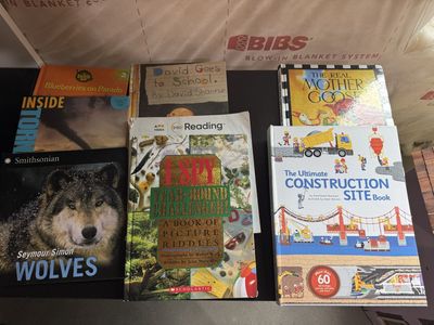 Children's Book Lot: Disney Frozen, Princess Tales, STEM, Phonics - 20+ Early Reader & Picture Books