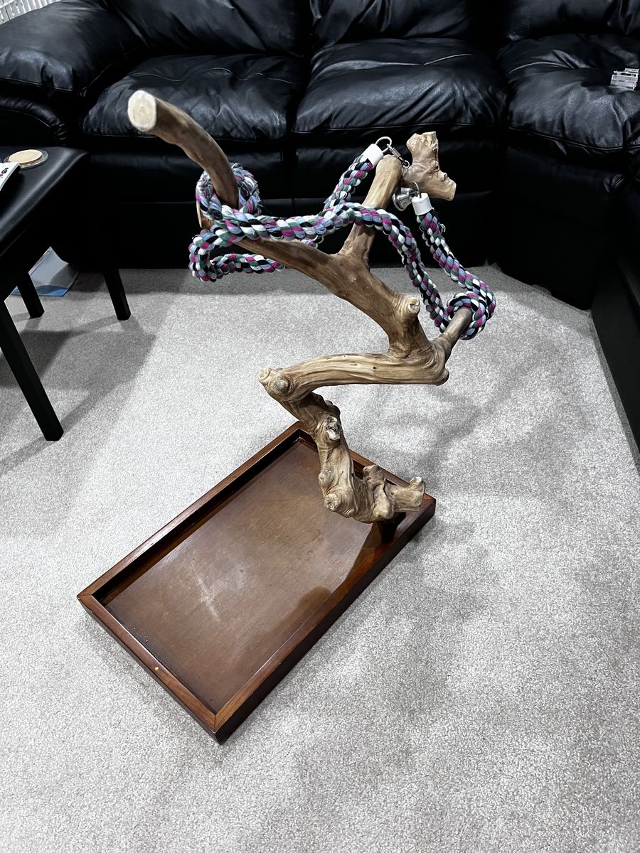 Small Parrot Tree Stand