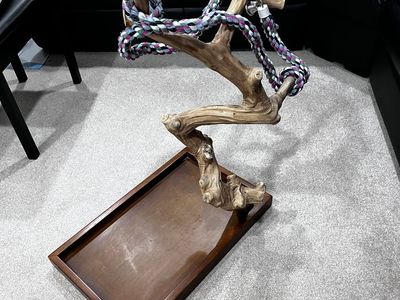 Small Parrot Tree Stand