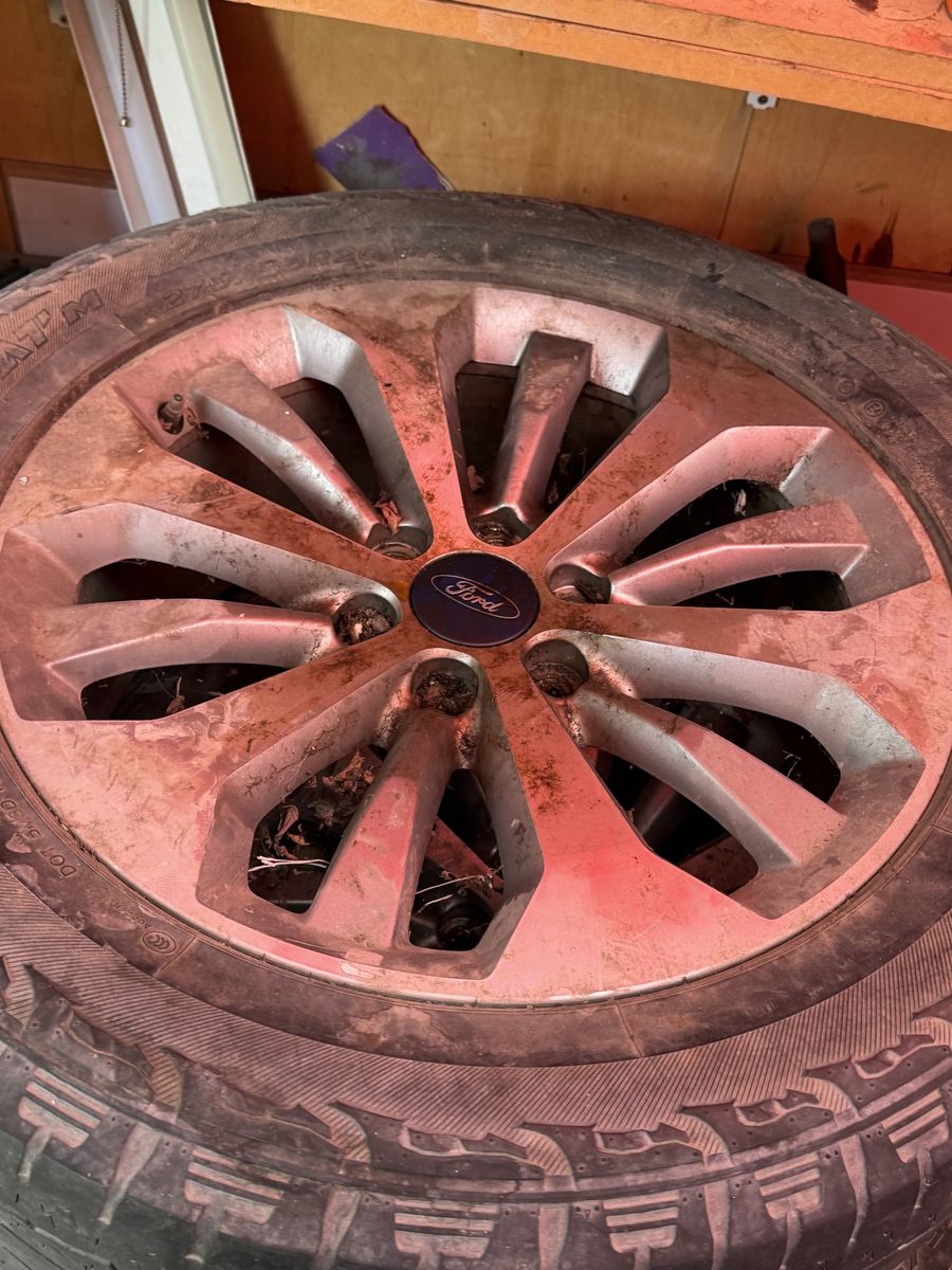 Ford All-Season Tire & Rim - Used, Needs C