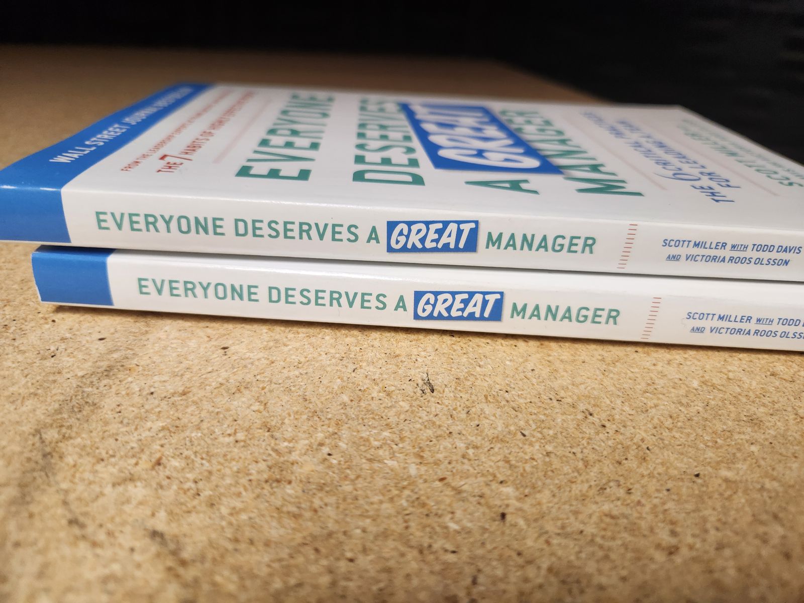 Everyone Deserves a Great Manager books