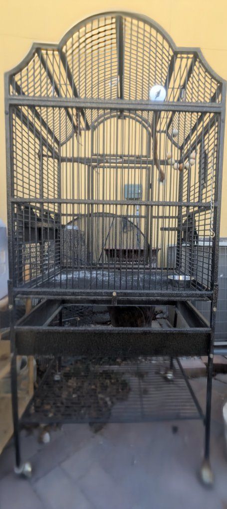 extra large bird cage