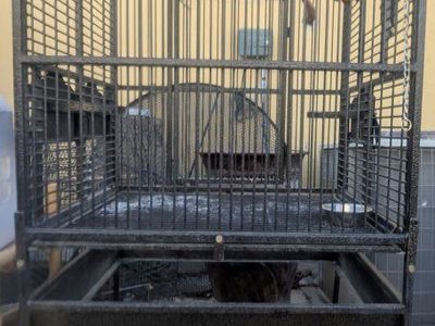 extra large bird cage