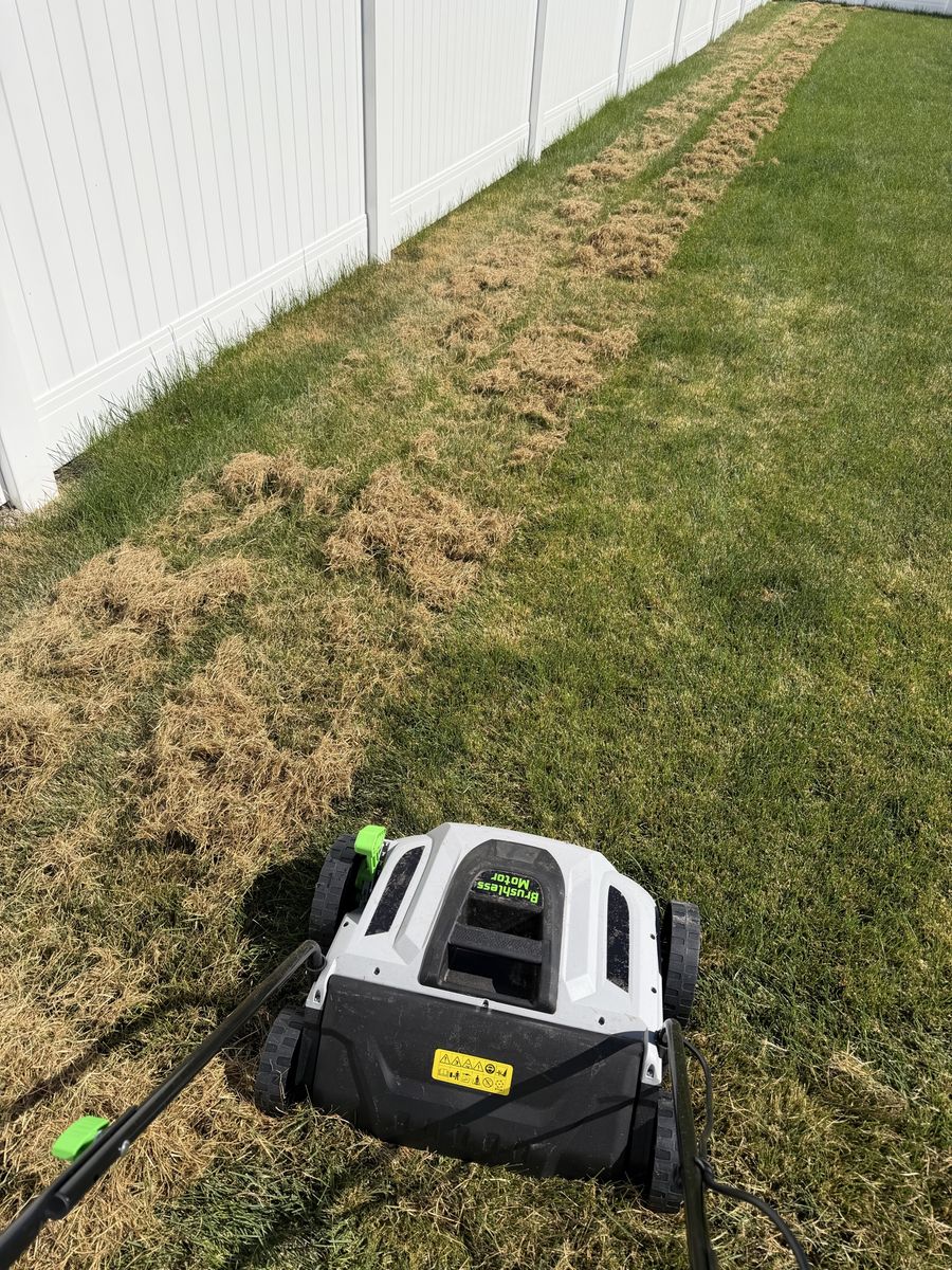 Dethatcher for Rent