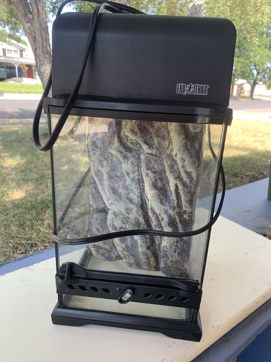 Exo Terra Nano Tall terrarium 8x8x12 with optional compact top - nice condition