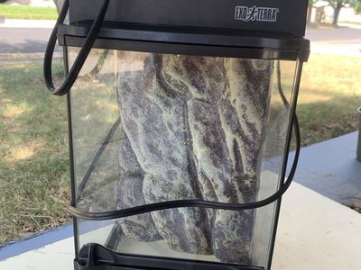 Exo Terra Nano Tall terrarium 8x8x12 with optional compact top - nice condition