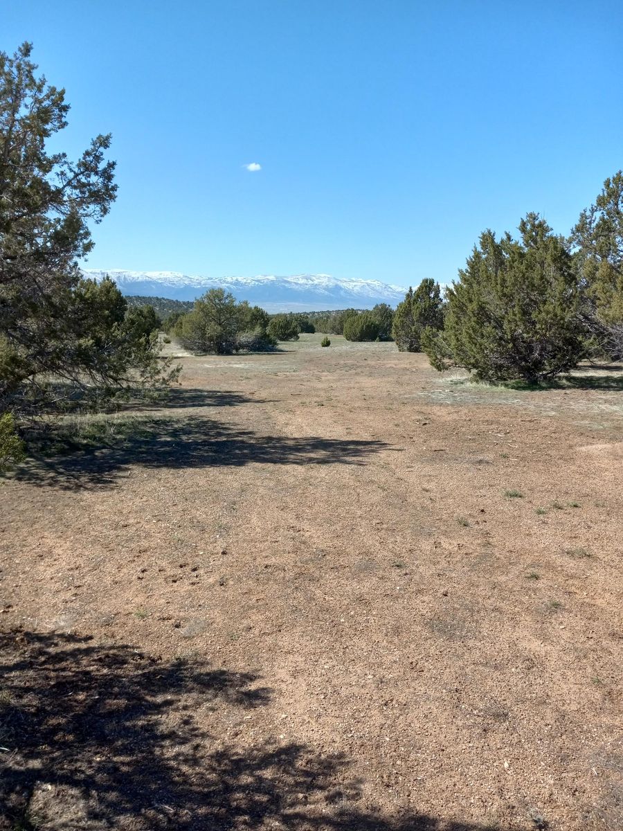 Main image 7