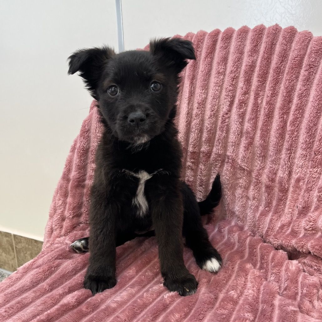 Hello my name is Campbell