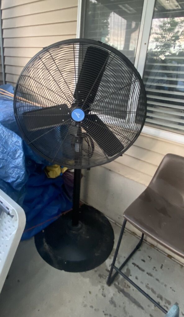 Big Fan