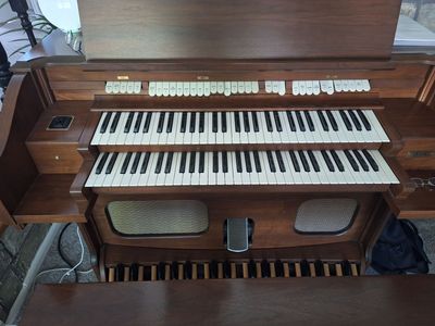 Free Organ