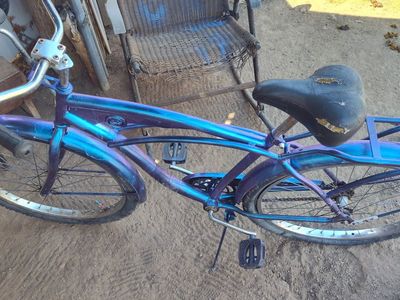 custom paint male cruiser