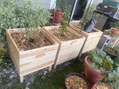 Handmade Cedar Raised Garden Bed Planter Boxes, Elevated Design for Easy Gardening