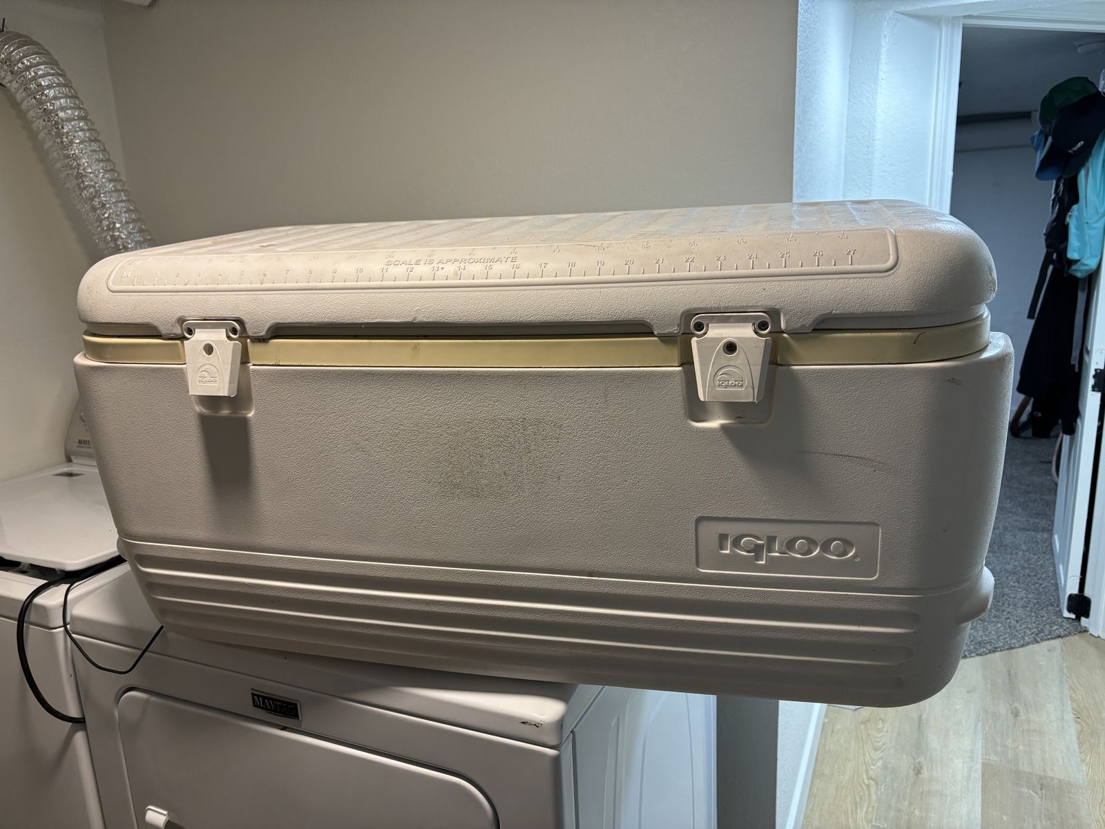 100 qt Igloo Camping/Hunting Cooler