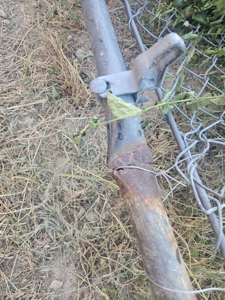 Main image 3