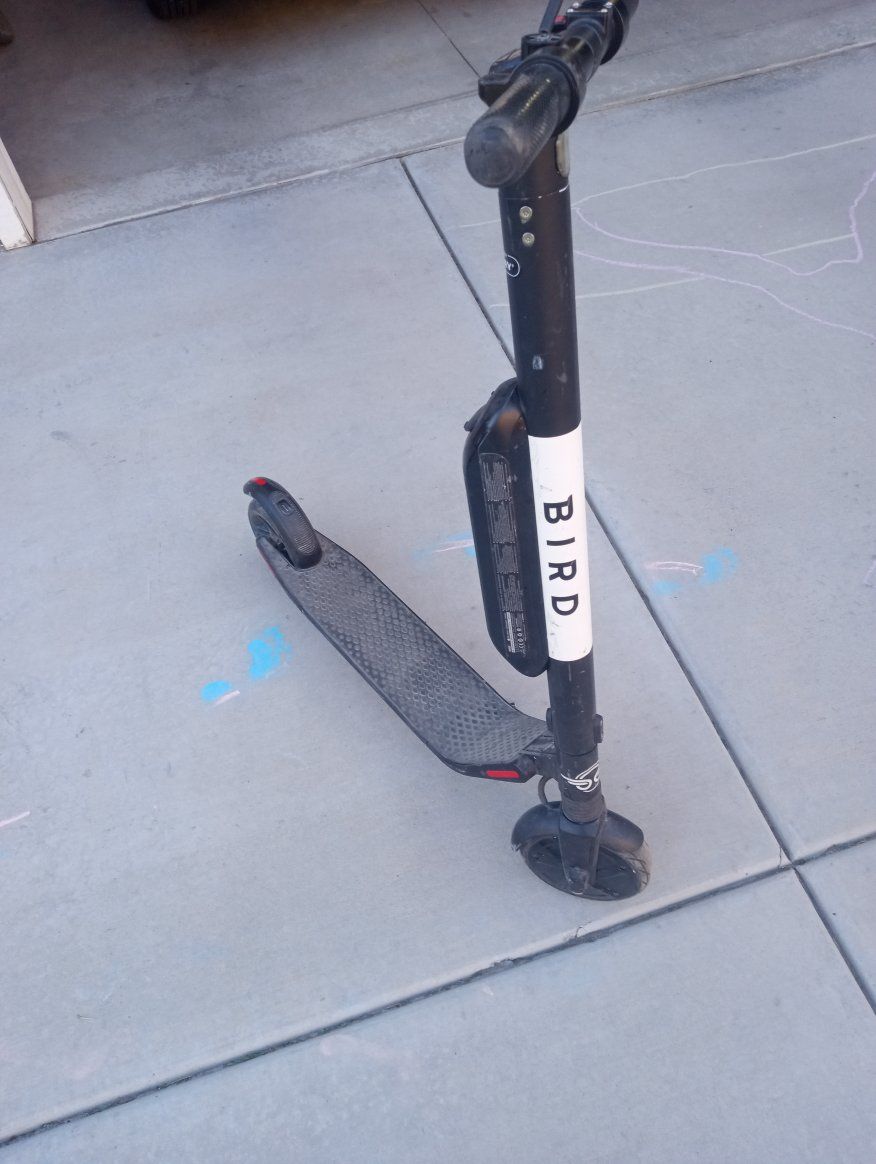Bird by Segway
