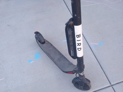 Bird by Segway