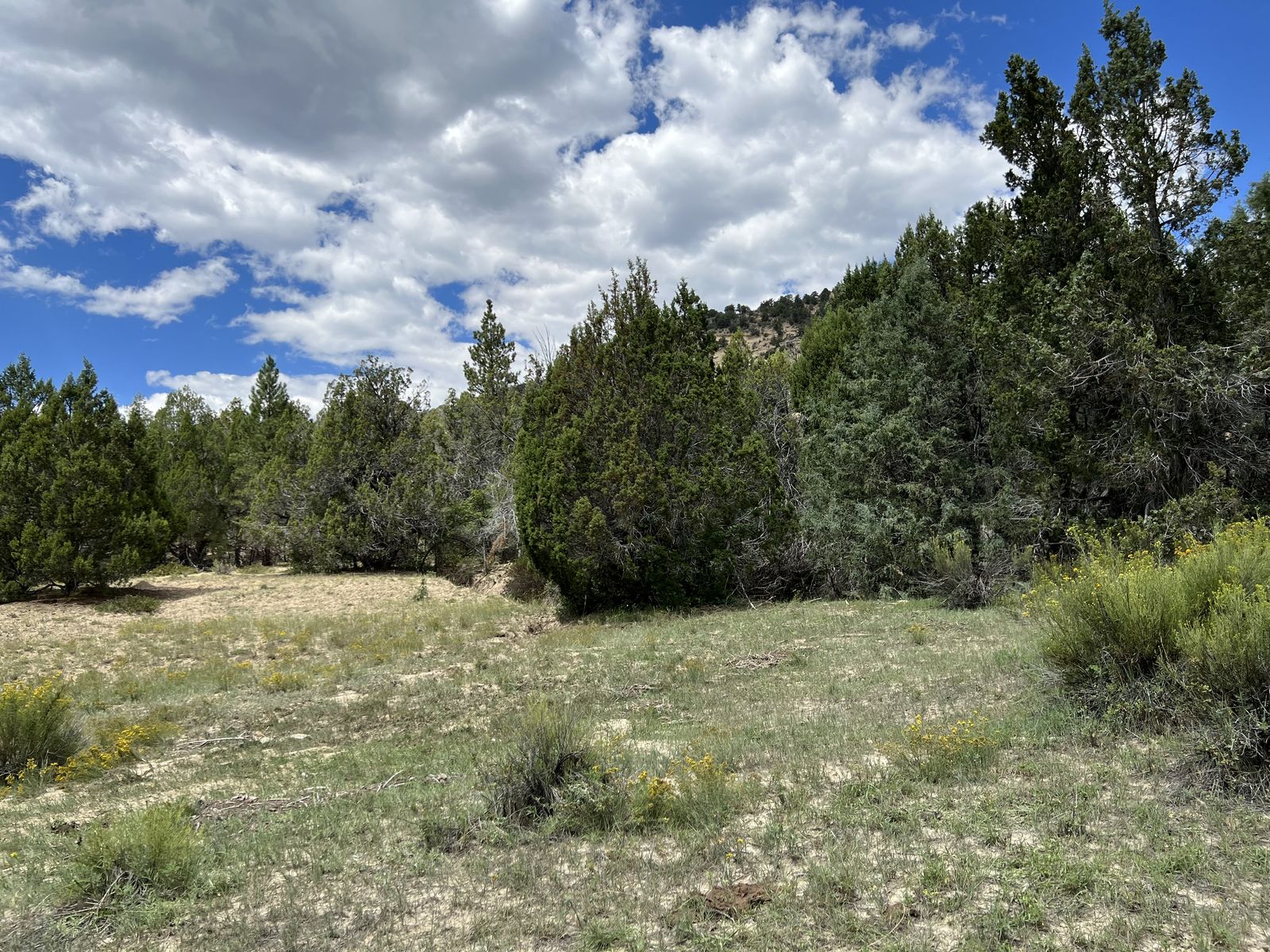 Main image 4