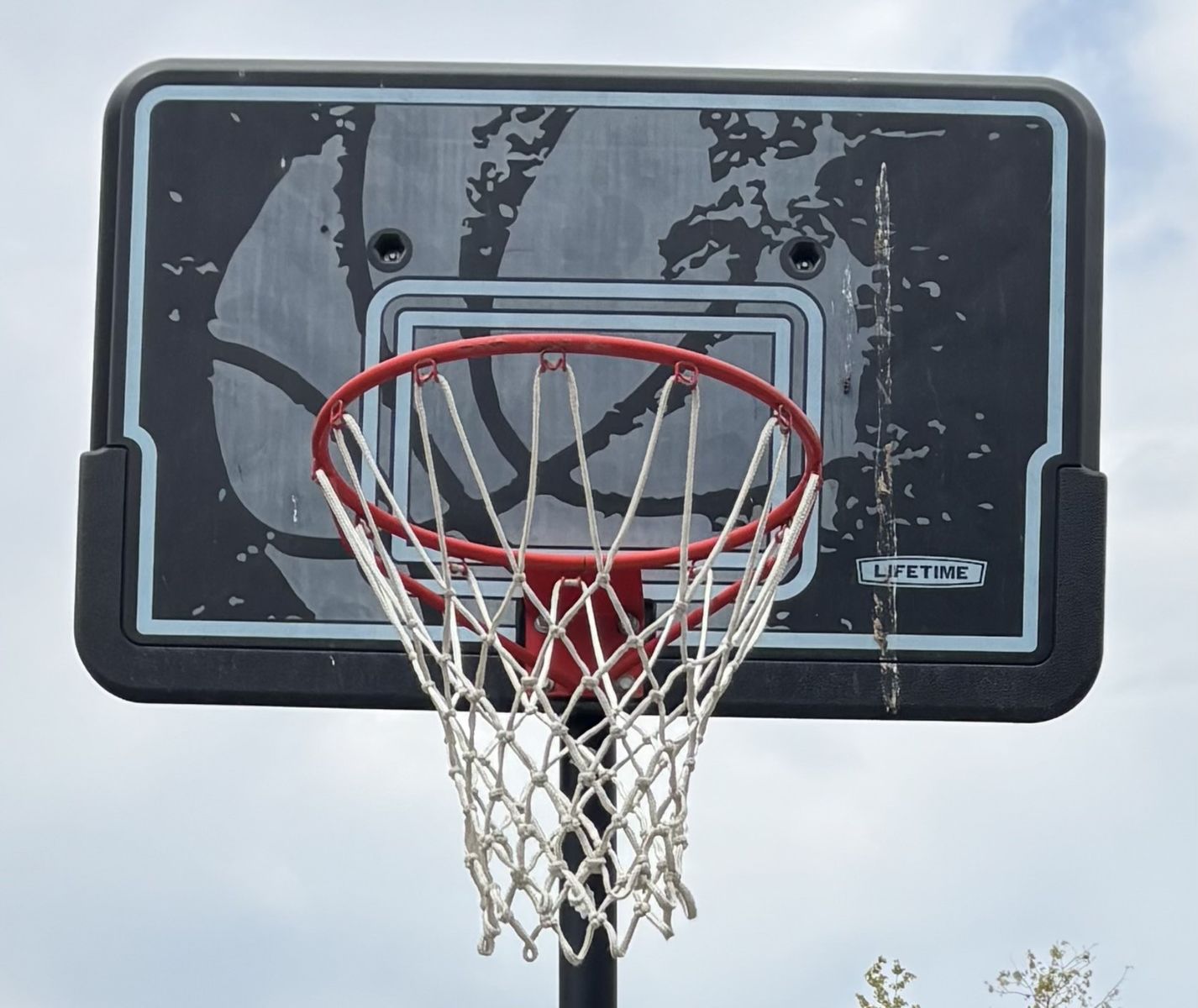 Lifetime Basketball Hoop