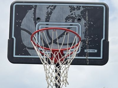 Lifetime Basketball Hoop