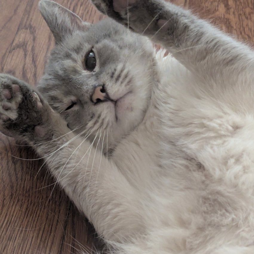 Hello my name is Frankie