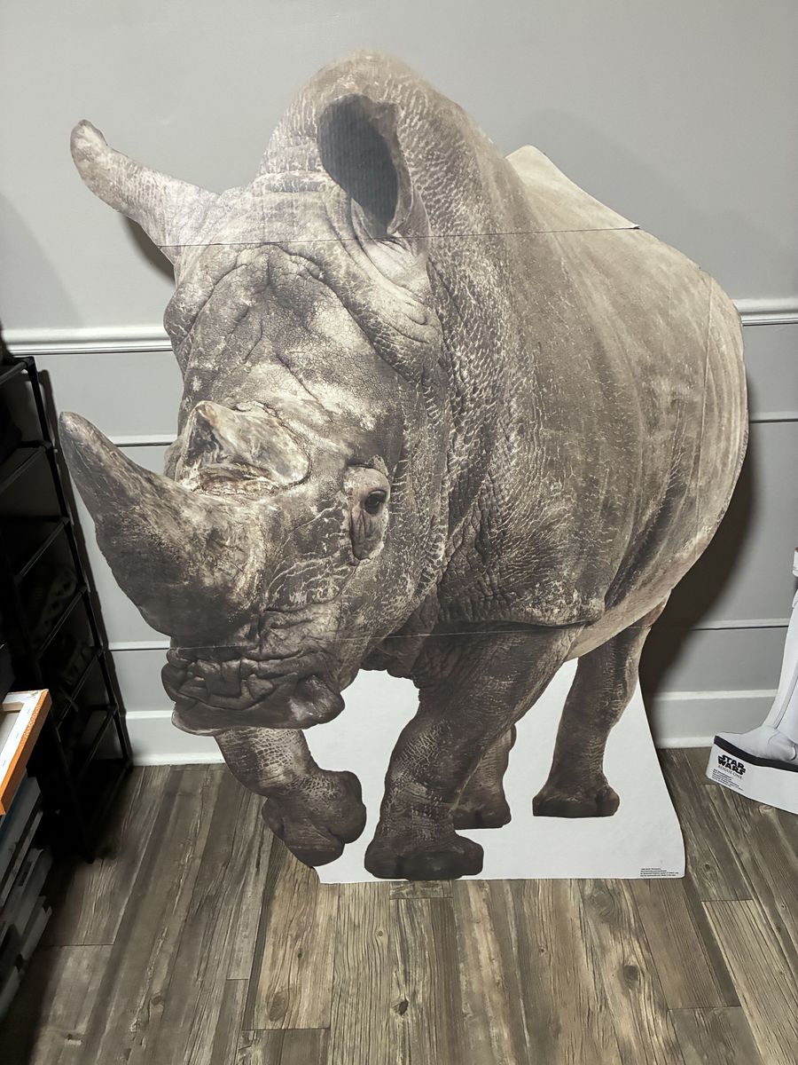 Cardboard Cutout Of Rhino! Worth $50