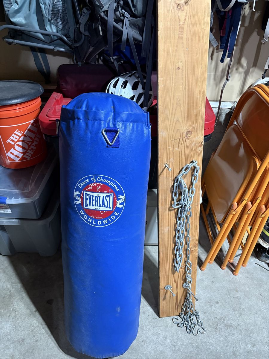 80 lbs Everlast Punching Bag
