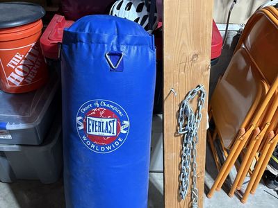 80 lbs Everlast Punching Bag