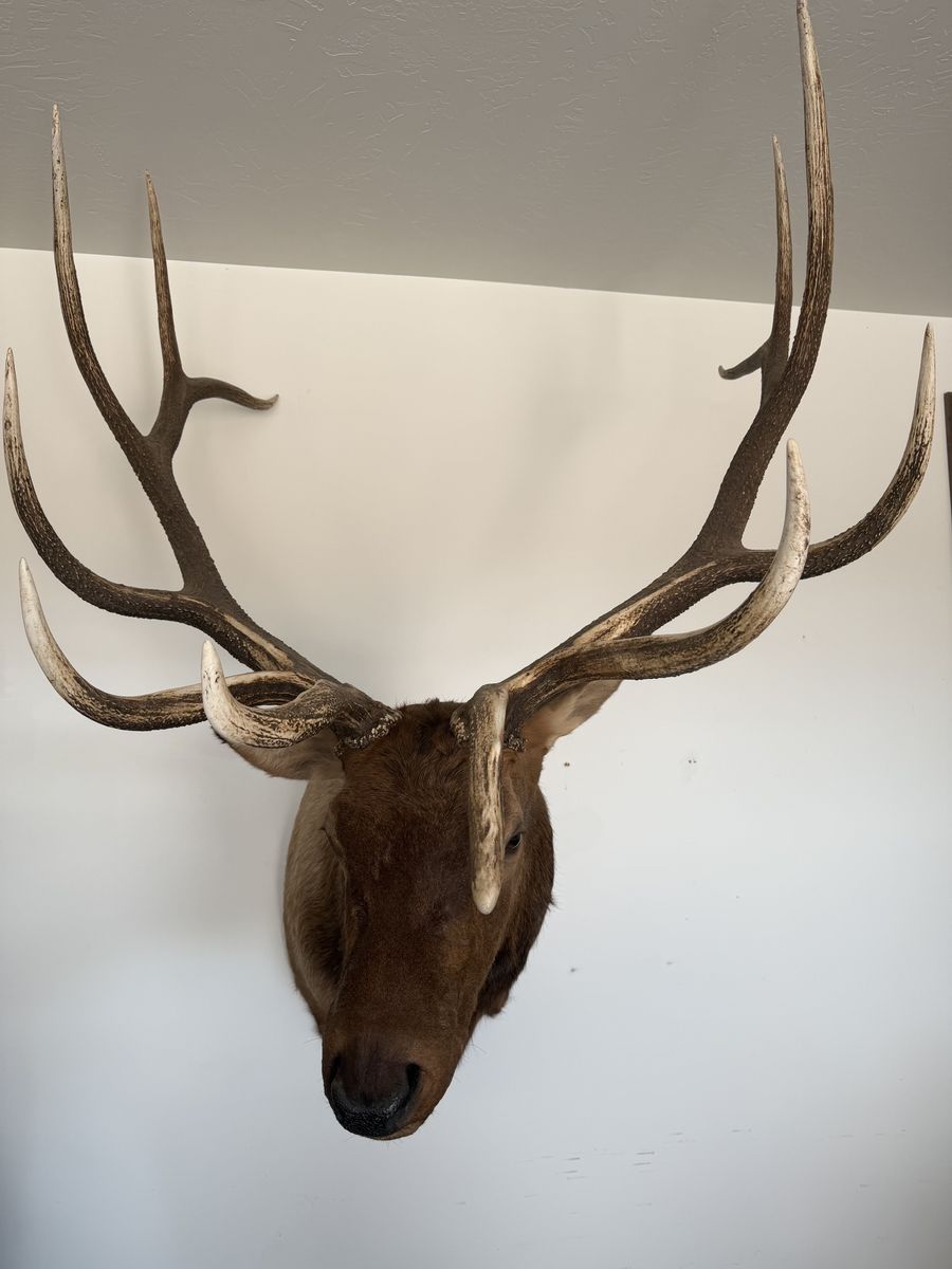 Main image 5
