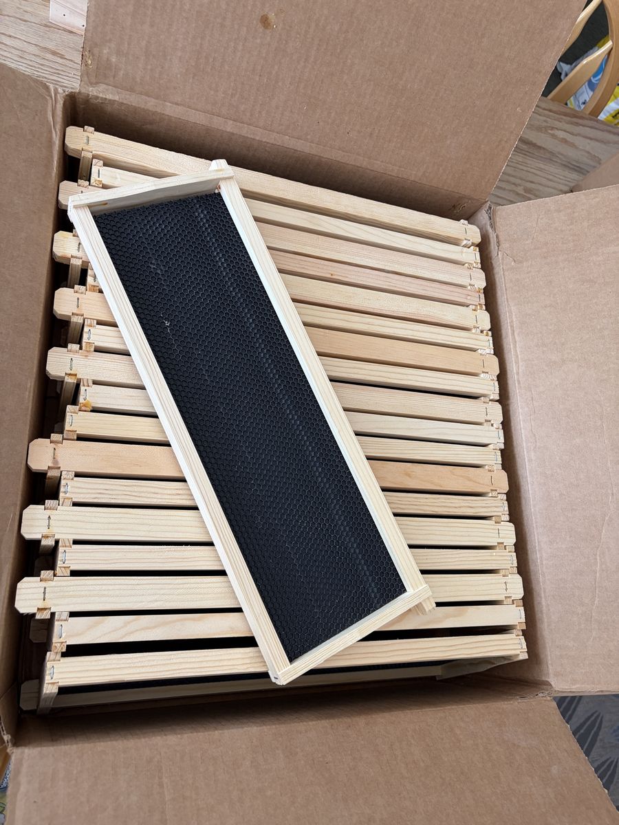 Beekeeping Medium Frames, Assembled