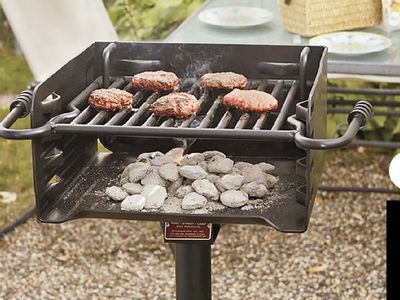 Pilot Rock Park-Style Charcoal Grill - Durable, Adjustable Cooking Grate