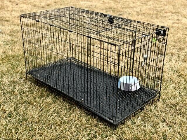 MidWest Homes for Pets Wabbitat Folding Rabbit Cage