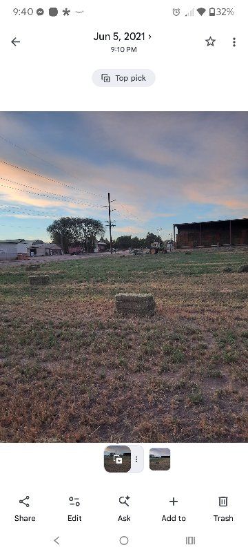 small alfalfa/tritalcale mix