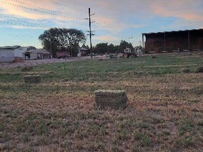 small alfalfa/tritalcale mix