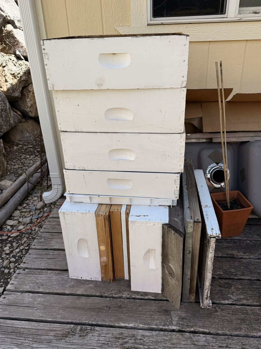 Beehive