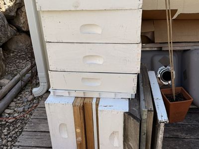 Beehive
