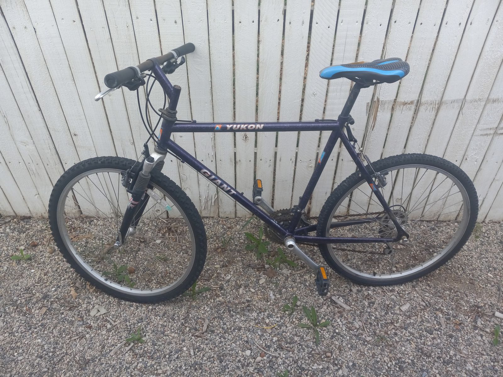 Free adult bike